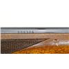 Image 11 : VOERE | Model: 2114 | Caliber: .22 LR