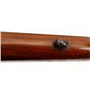 Image 17 : BRITISH ENFIELD | Model: P14 Sporter | Caliber: .303 BR
