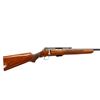 Image 2 : SAVAGE  | Model: 23D | Caliber: .22 HORNET