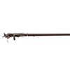 Image 2 : UNKNOWN BELGIAN | Model: Shotgun | Caliber: 12 G X 2 3/4"