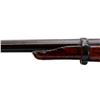 Image 10 : UNKNOWN BELGIAN | Model: Bolt Action | Caliber: 12 G X 2 3/4"