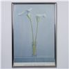 Image 1 : James Moore (Aft.) Offset on Paper, Two Calla Lilies