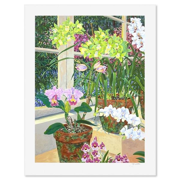Orchids and Sunlight by Powell John
