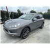 Image 1 : PORS CAYENNE 2013 T-SMOG -2 DAYS