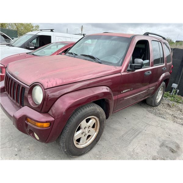 RED LIBERTY 2003 T-TMU