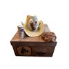 Image 1 : Vintage Bailey Sea Foam Green Cow Boy Hat With Original Box