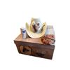 Image 2 : Vintage Bailey Sea Foam Green Cow Boy Hat With Original Box