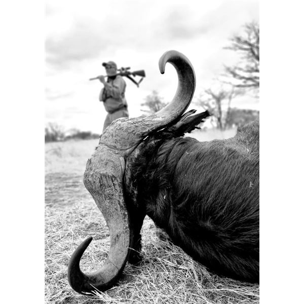 $1,000 Trophy Credit for 2 Hunters- South Africa