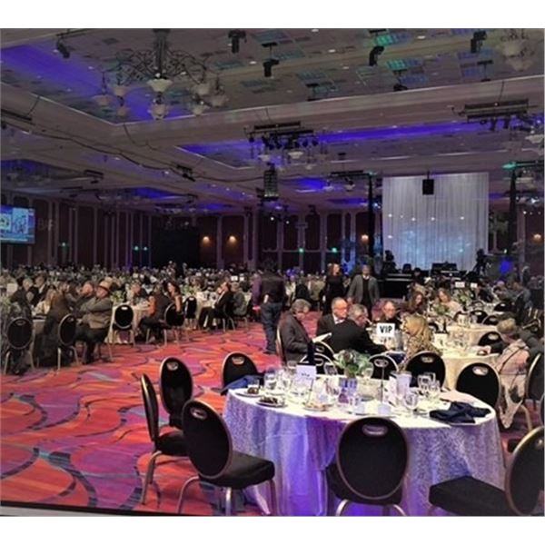 SCI- Houston Diamond Table for 2026 Banquet