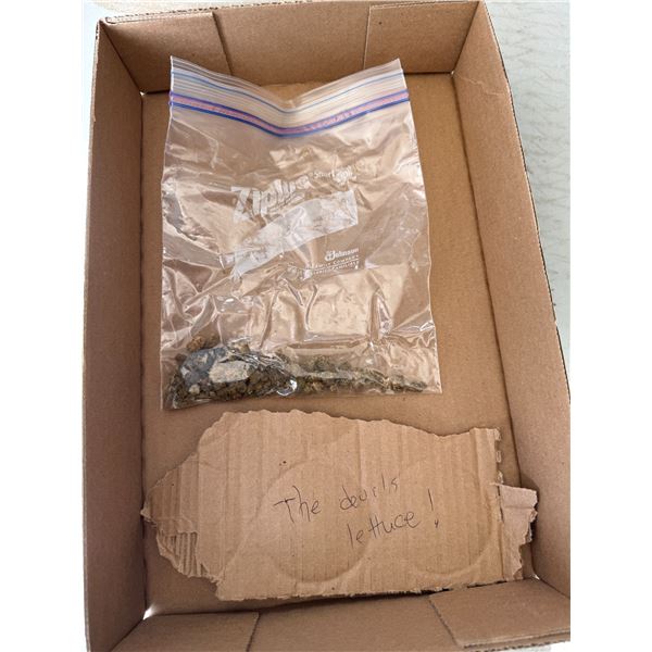 Herbs