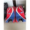 Image 1 : Hockey pads