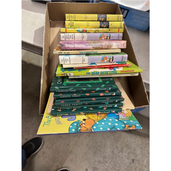 Nancy, Drew, the Bob 's twins and other books
