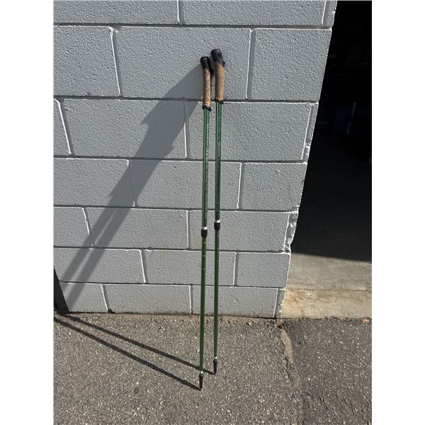 Walking sticks