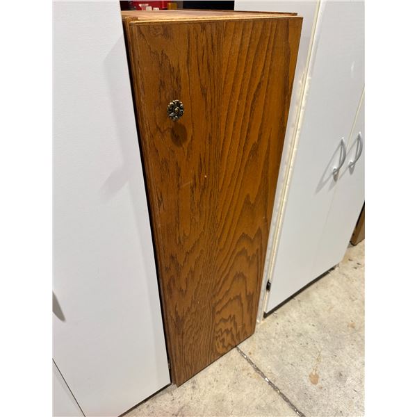 Cabinet 16" x 22" x 48" tall