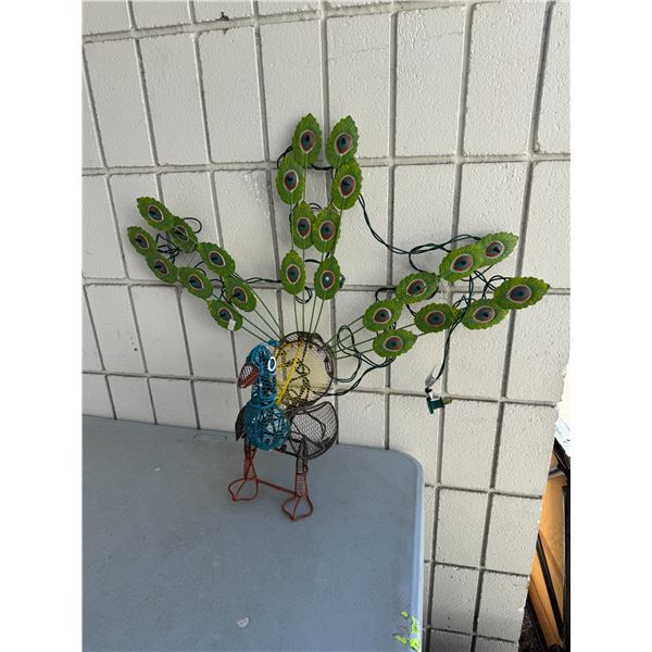Peacock needs new lights