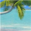 Image 2 : Palms on Parade by Mackin Dan