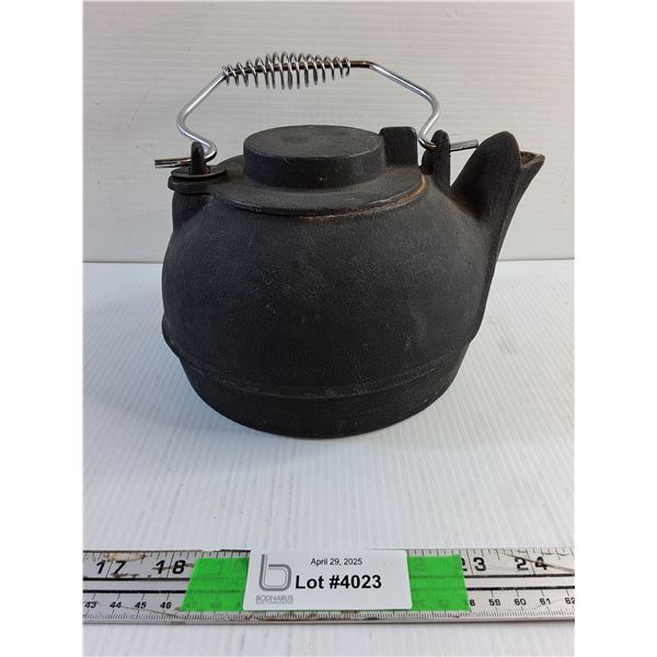 Cast Iron Tea Pot