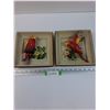 Image 1 : (2) Chalkware Parrot Pictures - 8.5" x 8.5"  - Some Wear