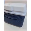 Image 2 : Rubbermaid Cooler Lunch Pail - 12" x 8" x 10"