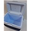 Image 3 : Rubbermaid Cooler Lunch Pail - 12" x 8" x 10"