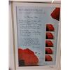 Image 2 : Framed In Flander's Fields Poem & Stamps Approx. 16" x 12".75"