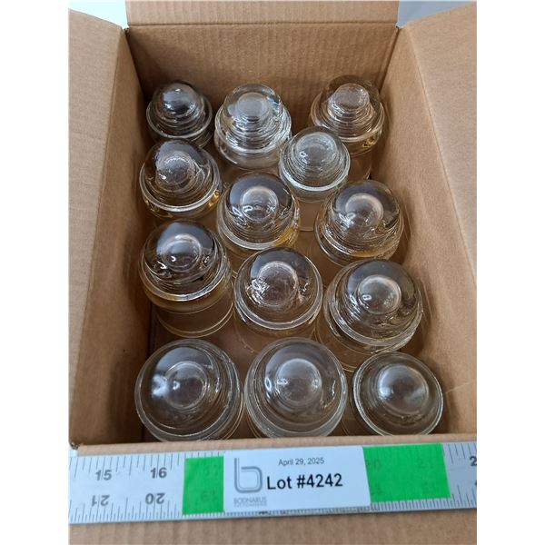 (13) Glass Insulators