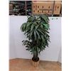 Image 1 : *Artificial Plant - Cannot Ship