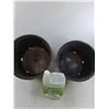 Image 2 : (2) Plastic Plant Pots - Largest 15" Dia x 12" Tall, 3.78L Atomes Hand Disinfectant - Cannot Ship!