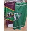 Image 1 : Saskatchewan Roughriders Flags