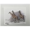 Image 1 : Sherry Steele signed Giraffes Postcard