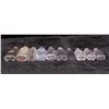 Image 3 : Nevada Drug Store Bottle, 10 Different [195130]