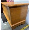 Image 2 : Blanket Chest, Modern Period [196568]