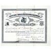 Image 1 : Teller City (Ghost Town) Mining Stock, 1882 [196511]