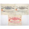 Image 1 : Eastern Oregon Gold Mining Company, Ltd. Stock Trio [195713]