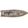 Image 1 : Golondrina Paleo Point from Texas [195562]