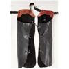 Image 2 : Chaps, Black Leather, Buffalo Nickle Adornments [196879]