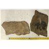 Image 1 : Pair of Crinoid Flower Fossil Plates [196398]