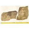 Image 2 : Pair of Crinoid Flower Fossil Plates [196398]