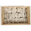 Image 3 : Trilobites, 23 Pounds [194606]