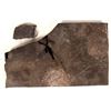 Image 2 : Unknown Vertebrate Fossil [195663]