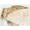 Image 3 : Native Gold in Quartz Timmins Ontario (17.7 grams) [194751]