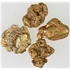 Image 1 : Bonanza Creek Gold Nuggets (5.5 grams) [194593]