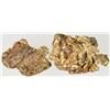 Image 1 : Bonanza Creek Gold Nuggets (5.9 grams) [194594]