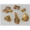 Image 2 : King Tut Placer Mine Gold Nuggets (14 grams) [194426]