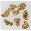 Image 2 : King Tut Placer Mine Gold Nuggets (7.9 grams) [194425]