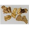 Image 1 : King Tut Placer Mine Gold Nuggets (12.4 grams) [194424]