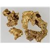 Image 2 : King Tut Placer Mine Gold Nuggets (12.4 grams) [194424]