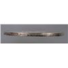 Image 3 : America The Beautiful: Hot Springs Five Ounce Silver [195969]