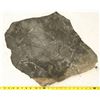 Image 1 : Crinoid Fossil Plate, Uncurated [159147]