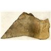 Image 2 : Crinoid Fossil Plate, Uncurated [196392]